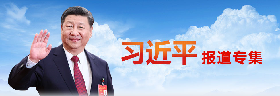 習近平主持召開扎實推進長三角一體化發展座談會并發表重要講話
